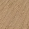 АМЕРИКО СВЕТЛЫЙ