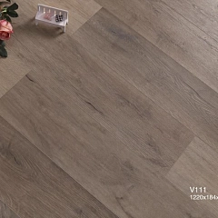 ДУБ АНДРИЯ