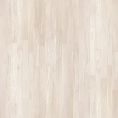 Белый иней Белый иней