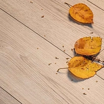 OAK SANDOLO ЛАМИНАТ  KAINDL  NATURAL TOUCH STANDART 12 ламинат для пола