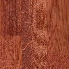 HS 2K INTENSIVECOLOR AT MESQUITE RED