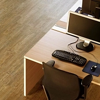 СОСНА ПАРМА  КВАРЦ ВИНИЛ  FINEFLOOR  WOOD
