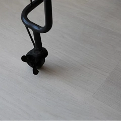 ДУБ РАВЕННА