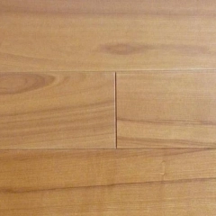 ДУБ