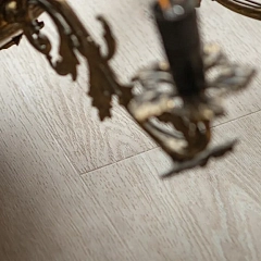 ДУБ САРАГОСА