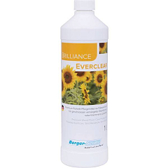 BRILLIANCE EVERCLEAR матовый