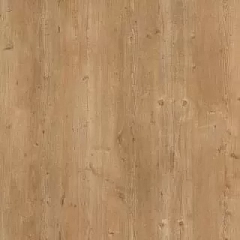 MOUNTAIN OAK