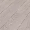 ДУБ СТОЛИЧНЫЙ СВЕТЛЫЙ
