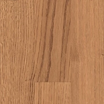 HS 2K INTENSIVECOLOR AT WEATHERED OAK ГРУНТОВКА ДЛЯ ПАРКЕТА  LOBA