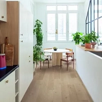 ДУБ БЕРЕГОВОЙ ПЕСЧАНЫЙ  КВАРЦ ВИНИЛ  QUICK STEP LVT  BLOS BASE