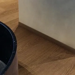 ДУБ КАКАО